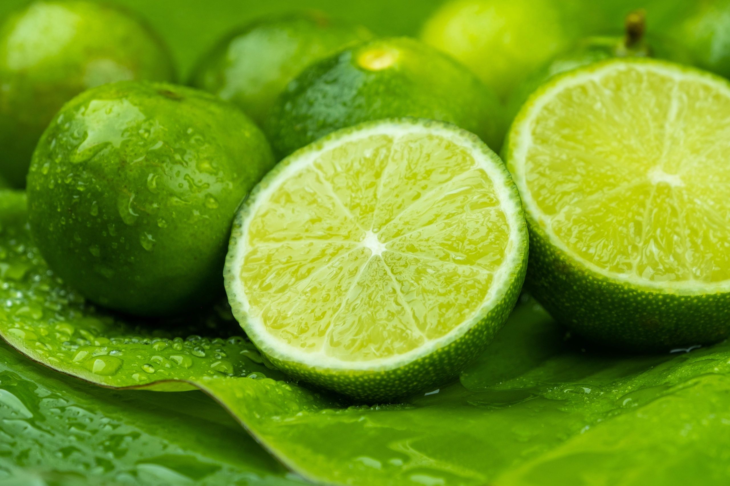 Persian Lime