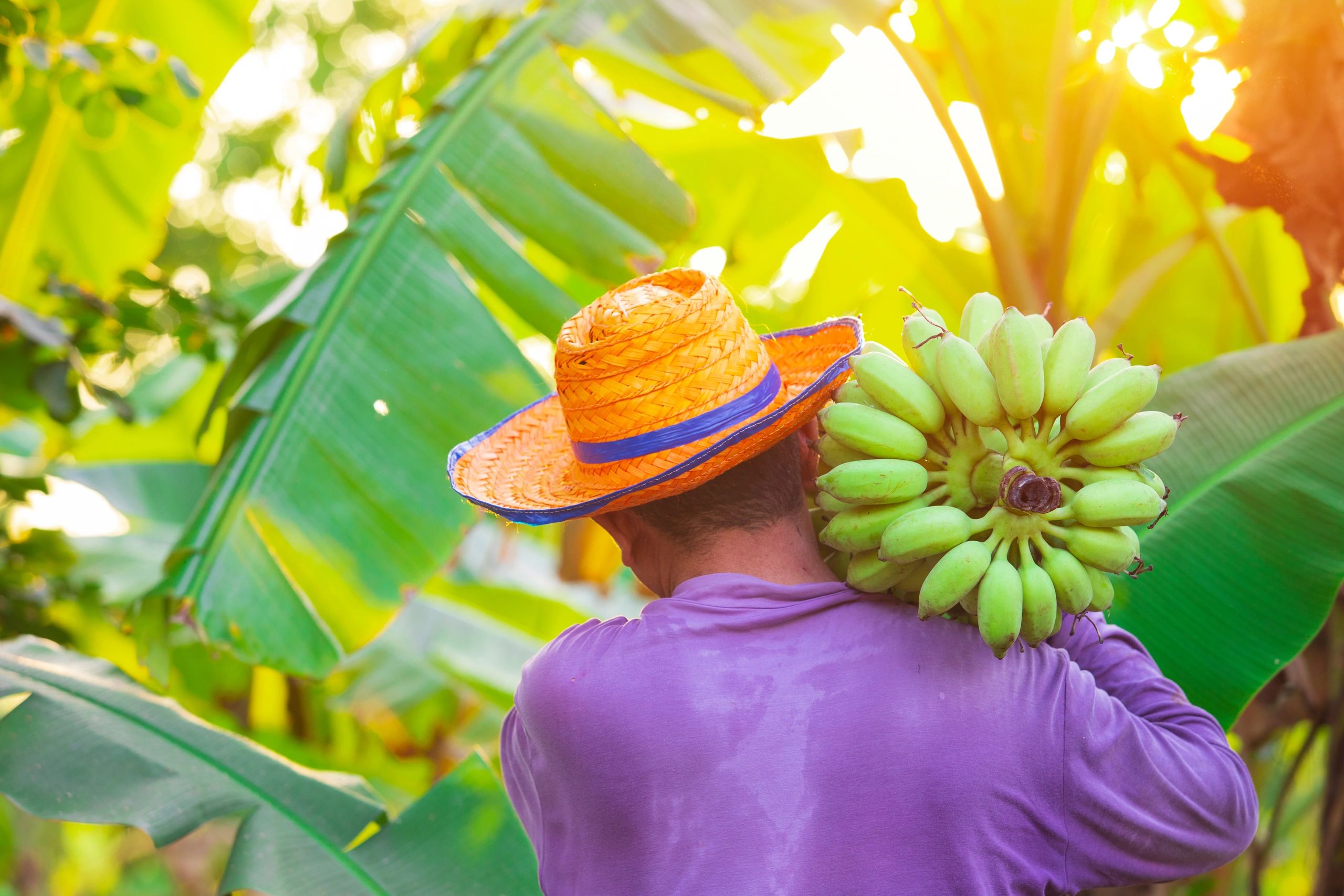 Thai Banana