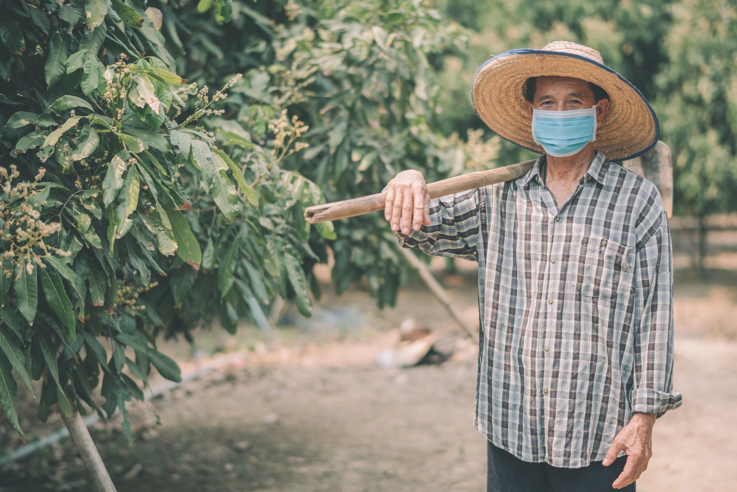 Farmer in field